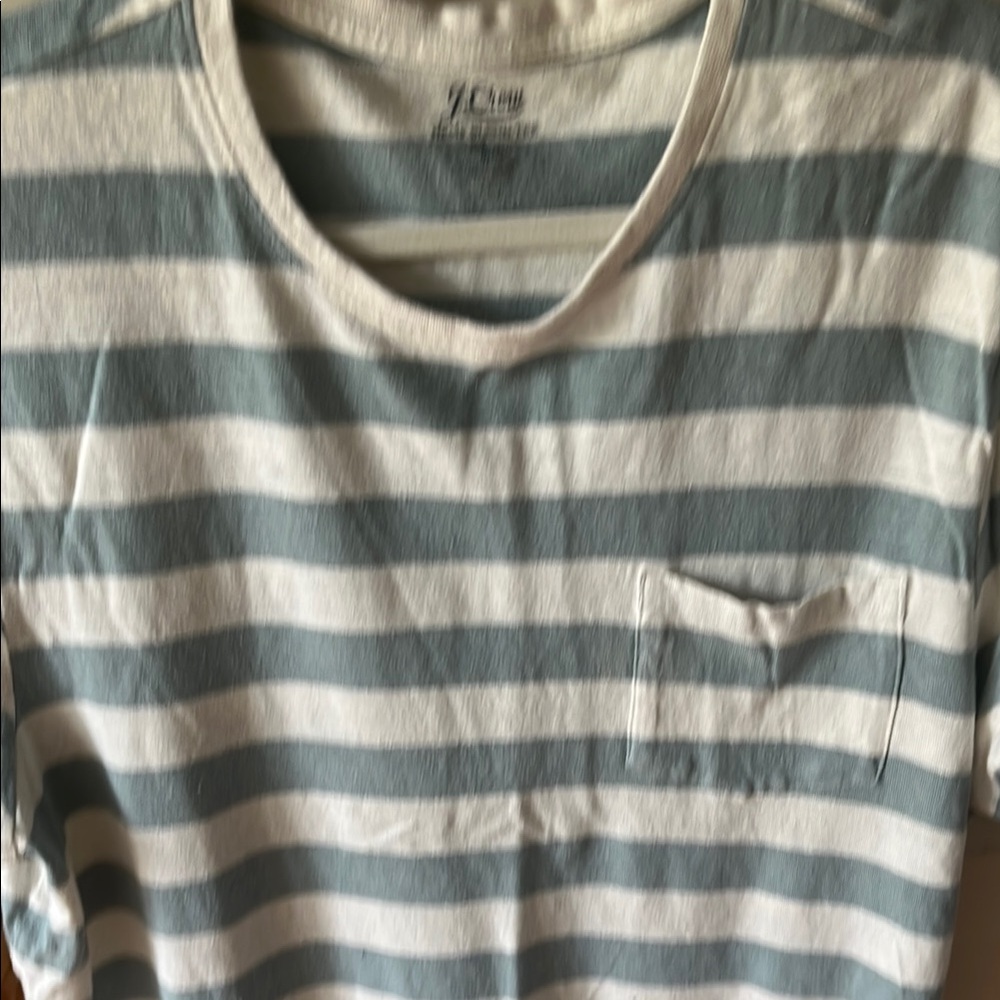 J. Crew Blue and White Striped Short Sleeve Tee